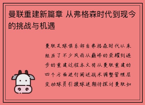 曼联重建新篇章 从弗格森时代到现今的挑战与机遇
