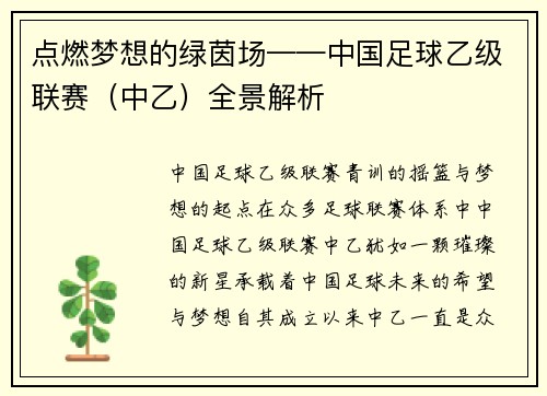 点燃梦想的绿茵场——中国足球乙级联赛（中乙）全景解析